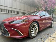 Lexus ES 300H Luxury FWD 2019 Red for sale