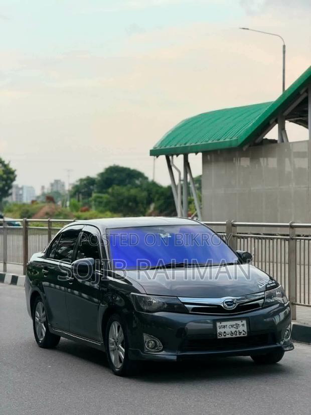 Toyota Axio 2014 Gray