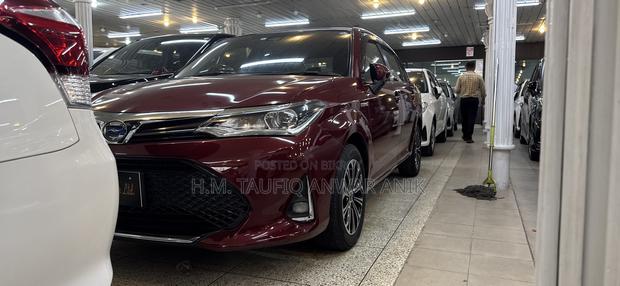 Toyota Axio 2018 Red