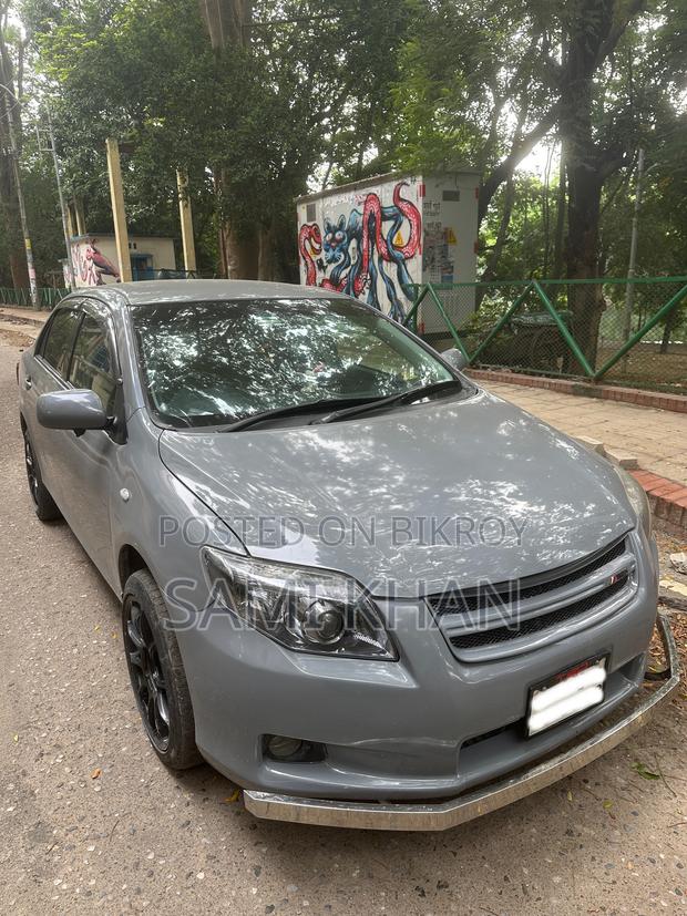 Toyota Axio 2011 Gray