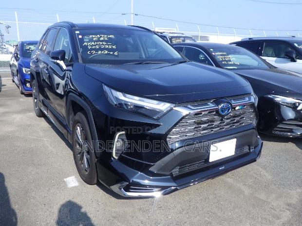 Toyota RAV4 2023 Black