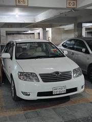 Toyota Corolla 2006 White for sale