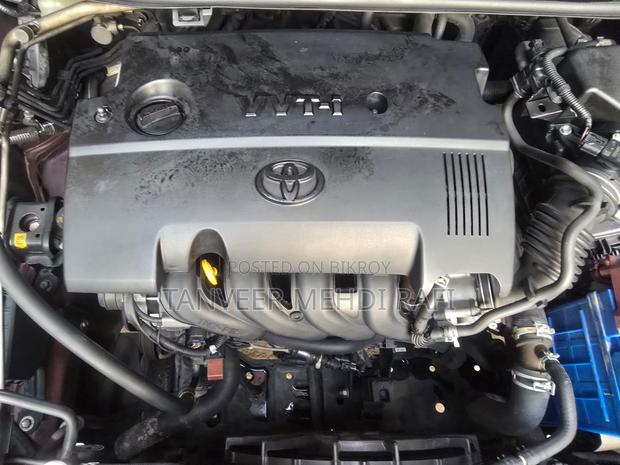 Toyota Premio 2020 Maroon