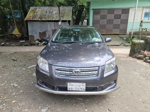 Toyota Axio 2007 Gray