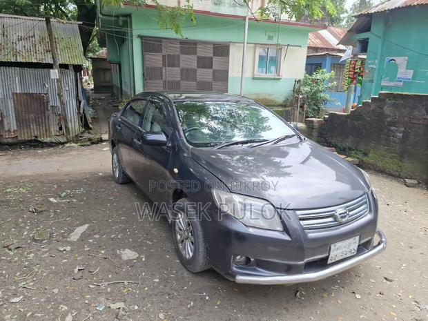 Toyota Axio 2007 Gray