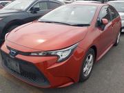 Toyota Corolla 2021 Orange for sale