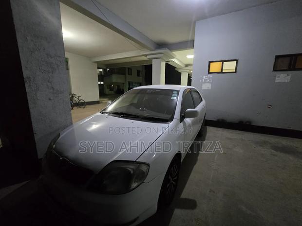 Toyota Corolla Sedan 2004 White