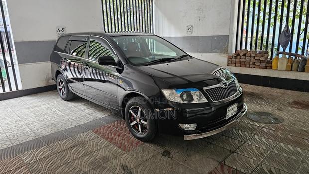 Toyota Corolla Fielder 2004 Black