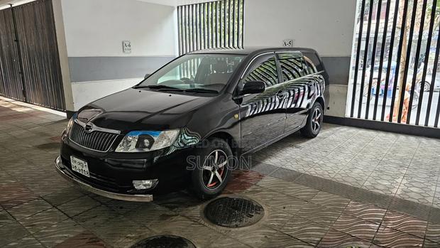 Toyota Corolla Fielder 2004 Black