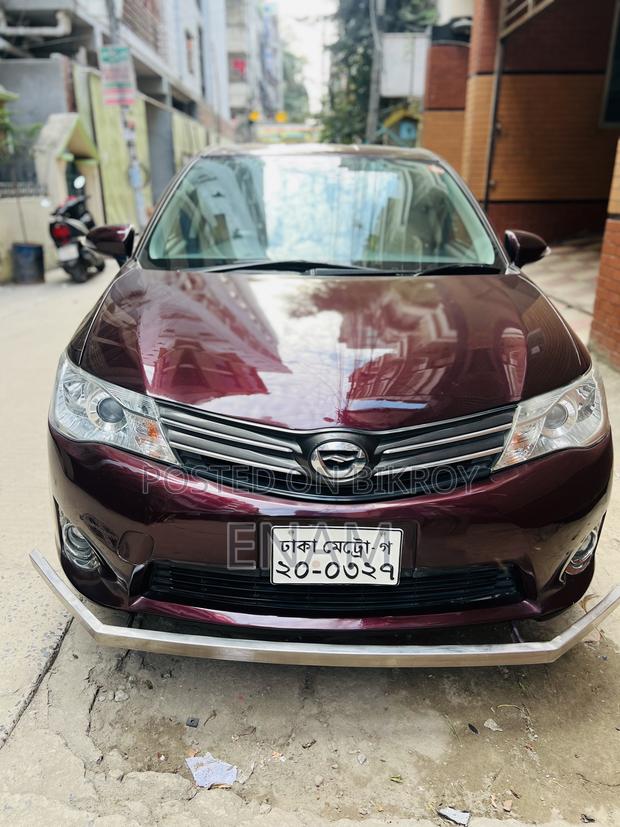 Toyota Axio 2013 Maroon