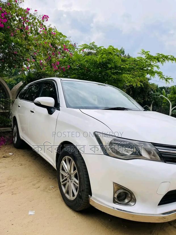 Toyota Corolla Fielder 2013 Pearl