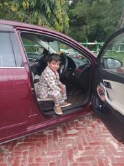 Toyota Premio 2008 Maroon for sale