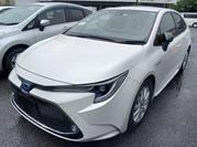 Toyota Corolla 2020 Pearl for sale