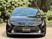 Toyota Corolla Touring WxB 2019 Black for sale