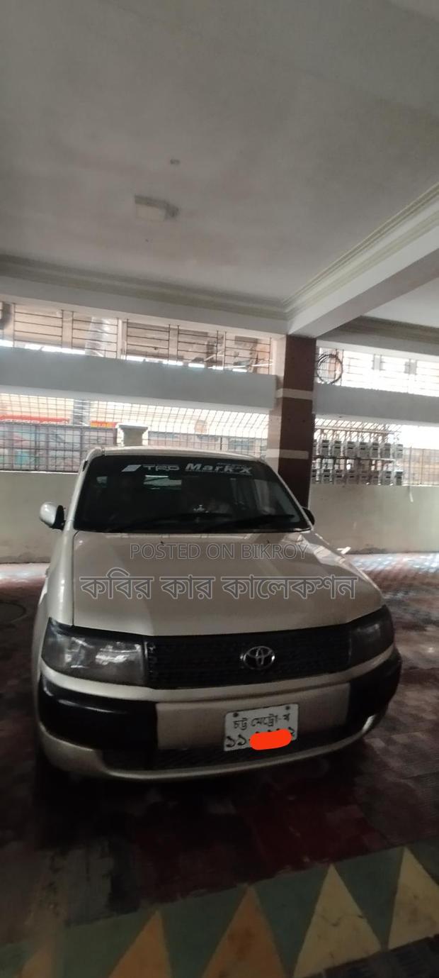 Toyota Probox goldan silver 2004