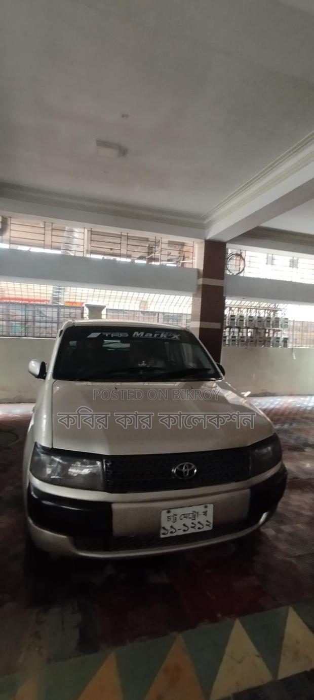 Toyota Probox goldan silver 2004