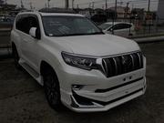 Toyota Land Cruiser T X L PKG 2023 for sale