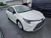 Toyota Corolla WXB Pearl 4 Point 2020 for sale