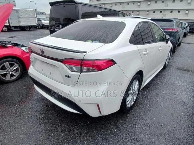 Toyota Corolla WXB Pearl 4 Point 2020