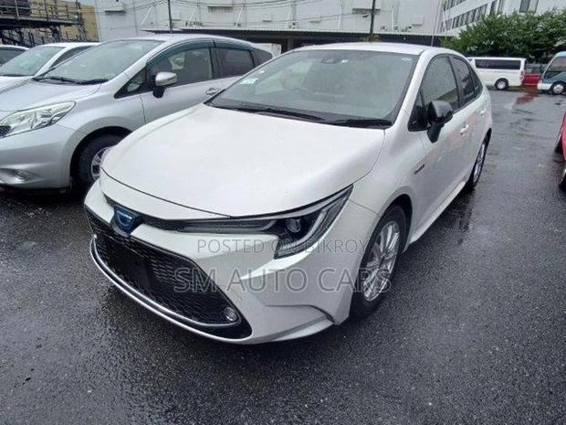 Toyota Corolla WXB Pearl 4 Point 2020