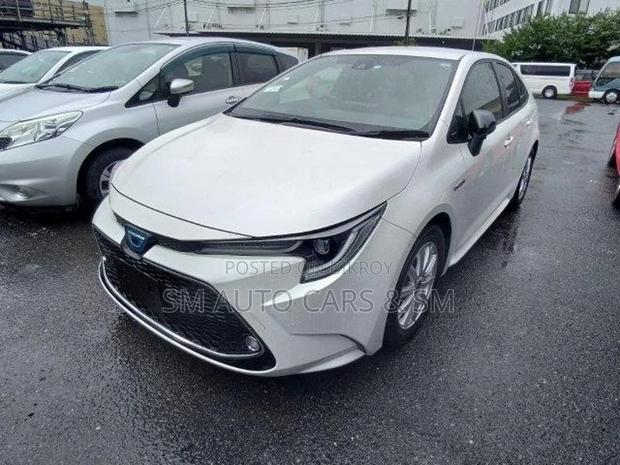 Toyota Corolla WXB Pearl 4 Point 2020