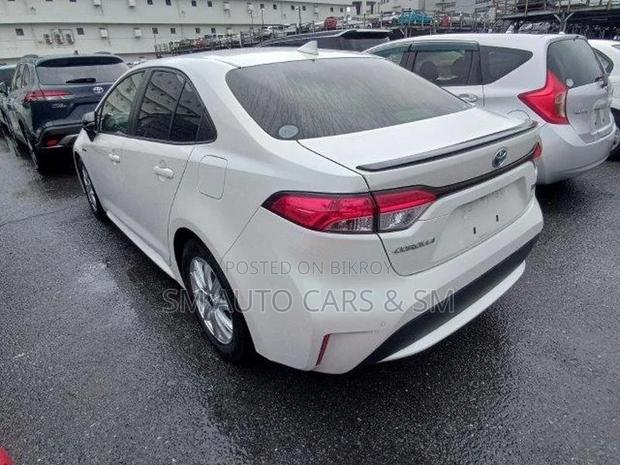Toyota Corolla WXB Pearl 4 Point 2020