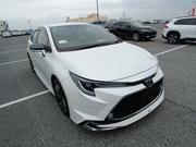 Toyota Corolla WXB Pearl Body Kit 2021 for sale
