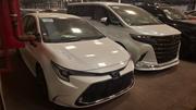Toyota Corolla WXB HYBRID PEAL 2021 White for sale