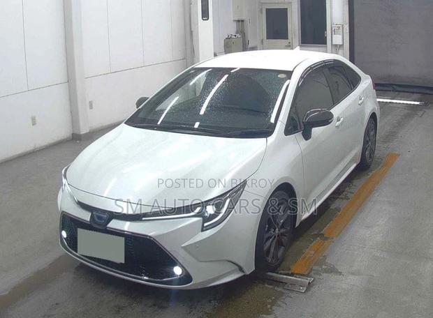 Toyota Corolla WXB Pearl 4 Point 2021