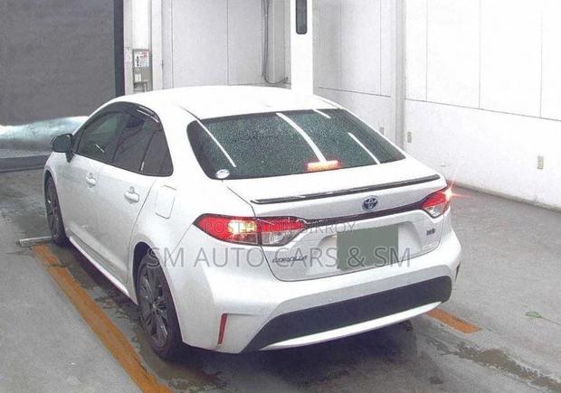 Toyota Corolla WXB Pearl 4 Point 2021
