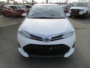 Toyota Axio 2021 for sale