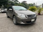 Toyota Axio 2010 Gray for sale