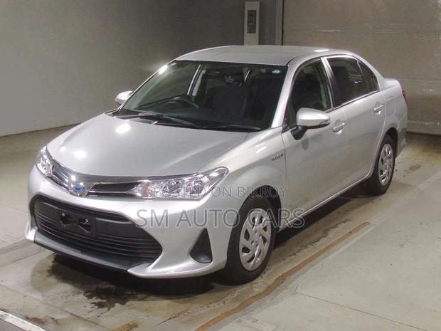 Toyota Axio EX Silver 4 Point 2020