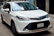 Toyota Corolla Axio X Lpg 2015 for sale