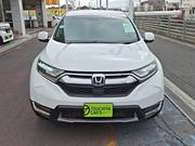 Honda CR-V 2020 Pearl for sale