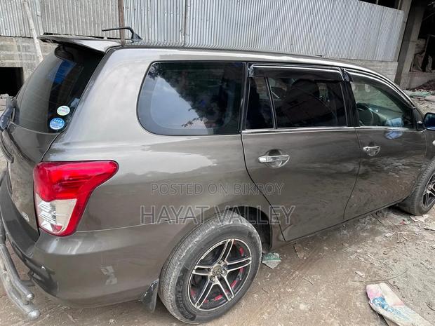 Toyota Axio 2010 Gray