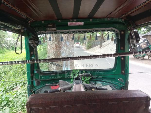 TVS King 2010 Green
