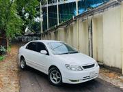 Toyota Corolla 2004 White for sale