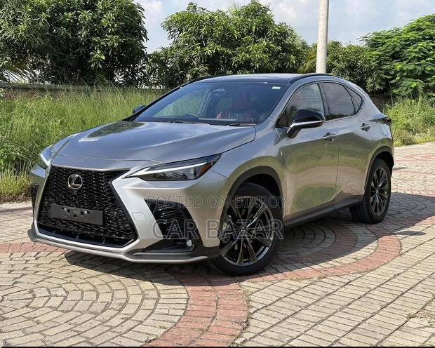 New Lexus NX 2023 Gray