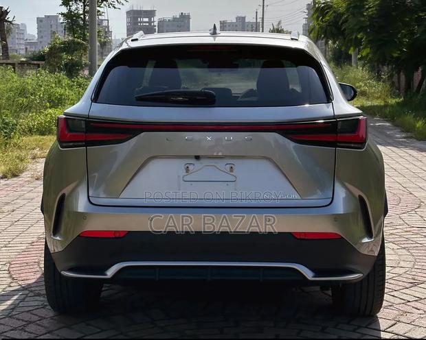 New Lexus NX 2023 Gray