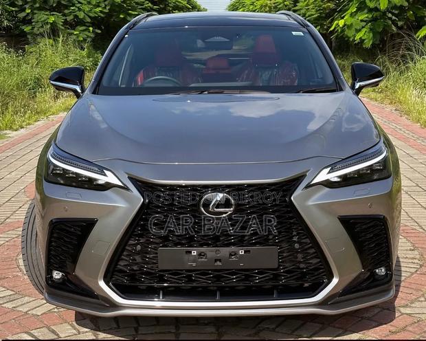 New Lexus NX 2023 Gray