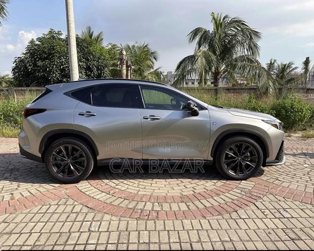 New Lexus NX 2023 Gray