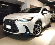 Lexus NX 2022 Pearl for sale