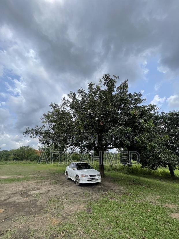 Toyota Corolla 1996 White