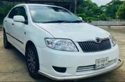 Toyota Corolla 2005 White for sale