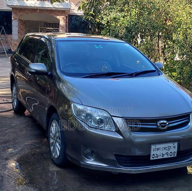 Toyota Axio 2010 Gray