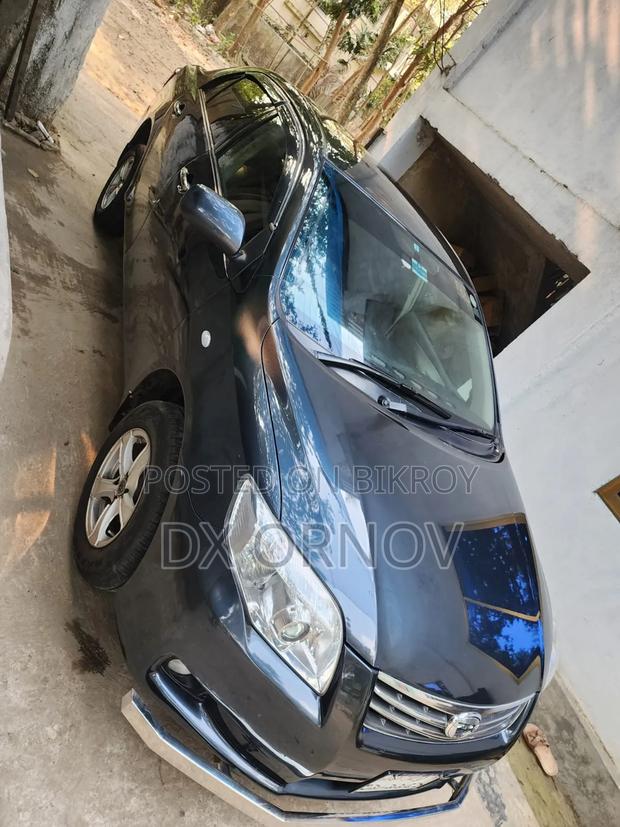 Toyota Axio 2010 Gray