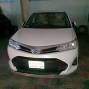 Toyota Axio 1.5 Hybrid G 2WD 2019 Pearl for sale