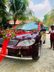 Toyota Corolla Verso Automatic 2003 Maroon for sale