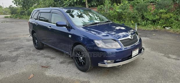 Toyota Corolla Fielder 2004 Blue